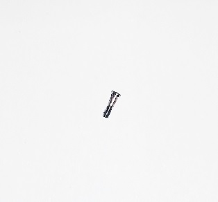 iPhone 5 Pohjan pentalobe ruuvi 1 kpl - Hopea
