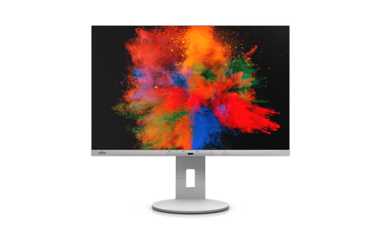 FUJITSU 24" P2410 WE MARBLE GREY USB-C (FHD/16:10/HAS/PIVOT/DP/HDMI/USB-C/95W)