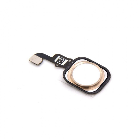 iPhone 6 / 6 Plus Kotinäppäin (Home Button) - Valkoinen kulta reunus