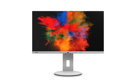 FUJITSU 24" B2410 TE MARBLE GREY (FHD/16:9/HAS/PIVOT/DP/HDMI/DVI/VGA/4XUSB)
