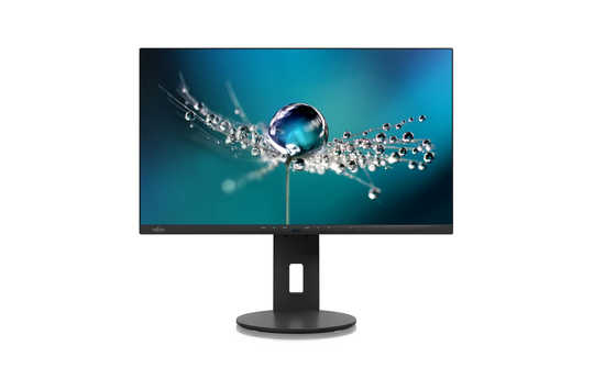 FUJITSU 24" B2410 TS BLACK (FHD/16:9/HAS/PIVOT/DP/HDMI/DVI/VGA/4XUSB)