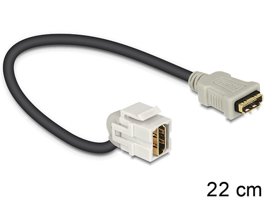 This Module By Delock Can Be Used To Extend E.g. A HDMI Cable. With Its Standardised Dimensions It C