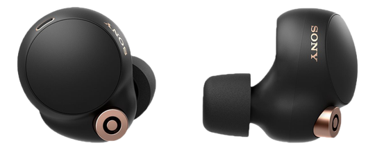 WF-1000XM4, True Wireless Earphones With Mic