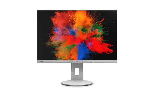 FUJITSU 24" B2410 WE MARBLE GREY (FHD/16:10/HAS/PIVOT/DP/HDMI/VGA/USB)
