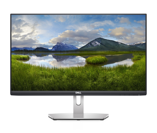 DELL 24 S2421HN FHD IPS 16:9 FSYNC HDMI