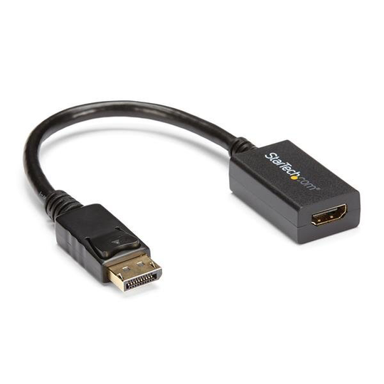 STARTECH DisplayPort Video Converter