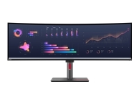 LENOVO 49" P49W-30 DUAL QHD IPS 32:9 DP/2XHDMI/RJ45/TB4(100W)