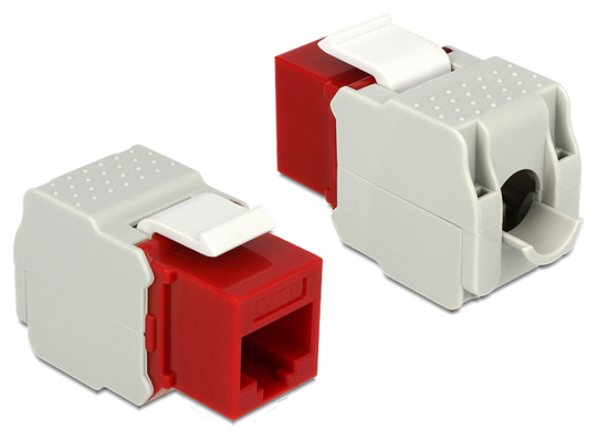 This Module By Delock Can Be Used To Connect Twisted Pair Cable To An RJ45 Female Port. With Its Sta