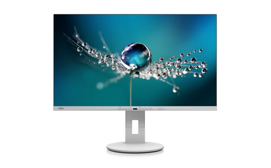 FUJITSU 27" B2711 TE MARBLE GREY (FHD/IPS/16:9/HAS/PIVOT/DP/HDMI/DVI/4X USB)