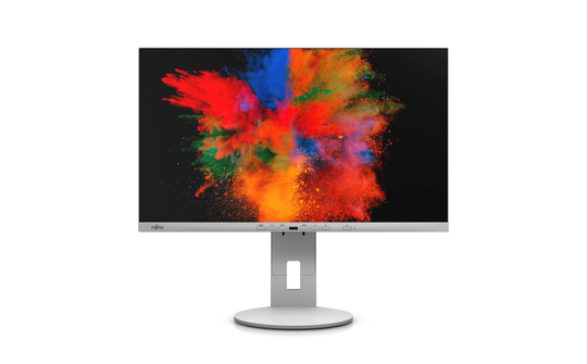 FUJITSU 24" P2410 TE MARBLE GREY USB-C (FHD/16:9/HAS/PIVOT/DP/HDMI/USB-C)