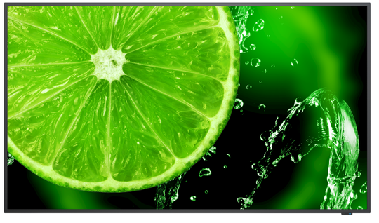 NEC 49" E498 UHD 350NITS 16/7