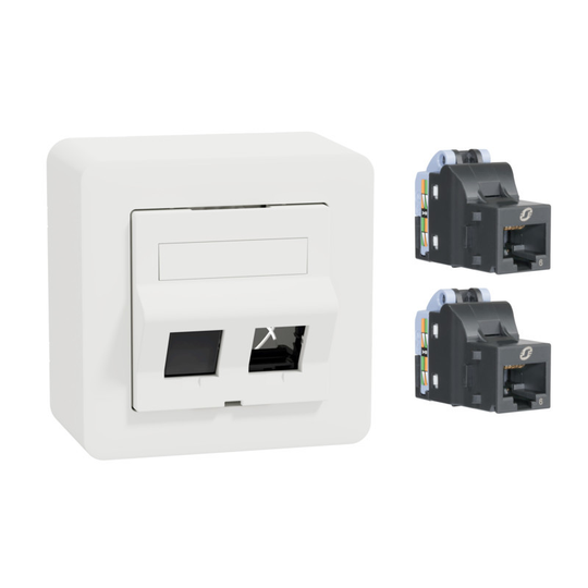 SCHNEIDER ELECTRIC EXXACT PINTA DATARASIA ACTASSI/KEYSTONE VINO VALKOINEN KAHDELLA S-ONE CAT6 UTP LI